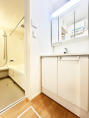 ���ʑ�E���ʏ��@�X�^�C�����O�ɕ֗��ȎO�ʋ��A�~���[�L���r�l�b�g�ōׂ������X�b�L��