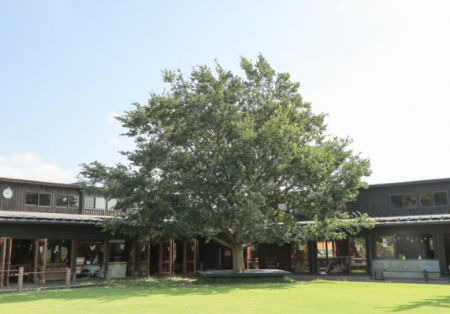 ���ӊ��@�c�t���E�ۈ牀 470m �Ζk���΂�c�t��