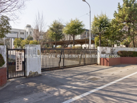 ���ӊ��@���w�Z 1600m �t�����s��������w�Z