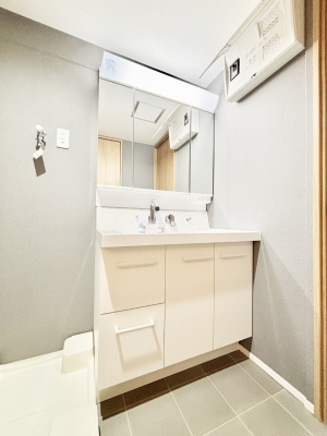 ���ʑ�E���ʏ��@���[�͂Ƌ@�\���ɗD�ꂽ���ʉ��ϑ�