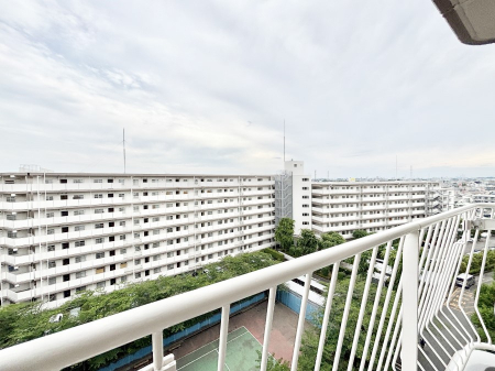 ���̑��@�o���R�j�[����̒��]�ł�