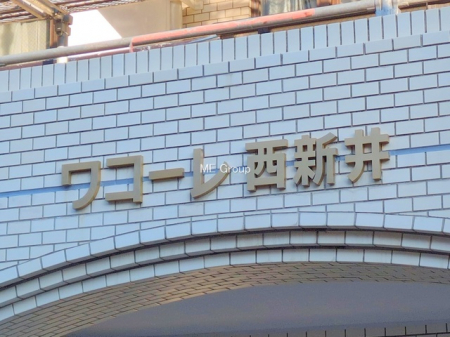 �G���g�����X�@-