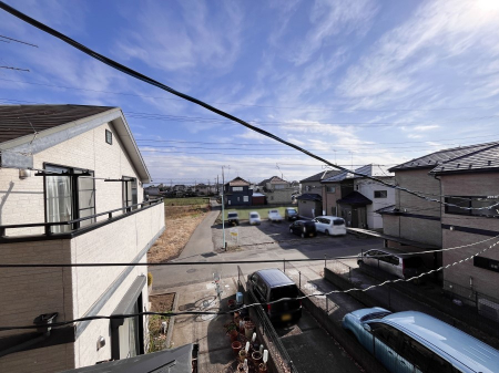 ���̑��@�o���R�j�[����̒��]�ł��B�S�n�悢����������ꂻ���ł��ˁI