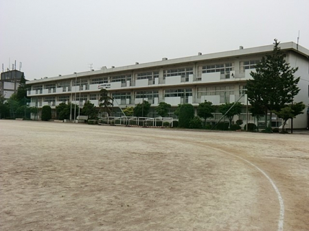 ���ӊ��@���w�Z 1500m ��c�s����Ԓ��w�Z