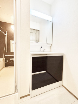 ���ʑ�E���ʏ��@�X�^�C�����O�ɕ֗��ȎO�ʋ��A�~���[�L���r�l�b�g�ōׂ������X�b�L��