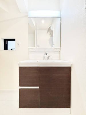 ���ʑ�E���ʏ��@�X�^�C�����O�ɕ֗��ȎO�ʋ��A�~���[�L���r�l�b�g�ōׂ������X�b�L��