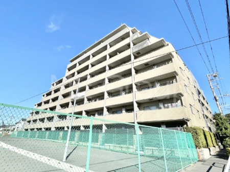 ���n�O�ώʐ^�@��Ƃ肪�Ί�𐶂ސS�n�悢���� 