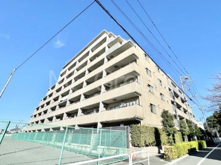 ���n�O�ώʐ^�@����z���ł��Ƒ��̏Ί���P�� 