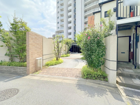 �G���g�����X�@-