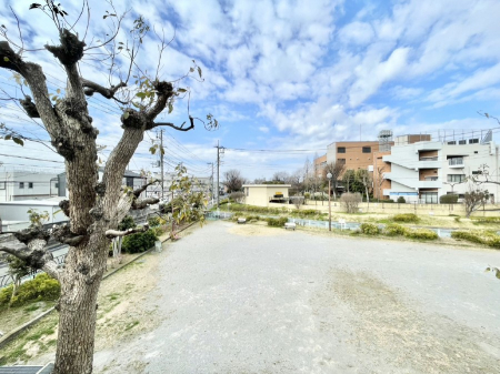 ���̑��@�o���R�j�[����̒��]�ł��B�S�n�悢����������ꂻ���ł��ˁI