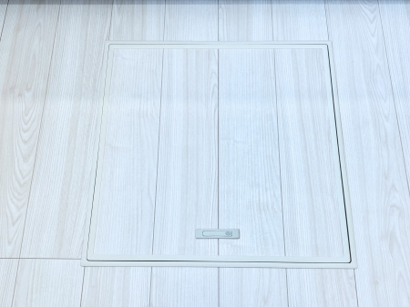 ���̑����ρ@�������[�t���I���p�i�E���p�i�̎��[�ɂ��劈��B