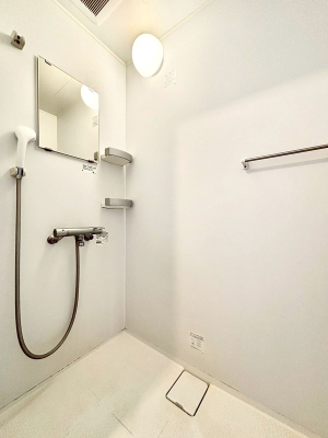 �����@����̔�������Ă���閾�邢�������̂���V�����[���[��