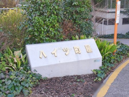 �G���g�����X�@-