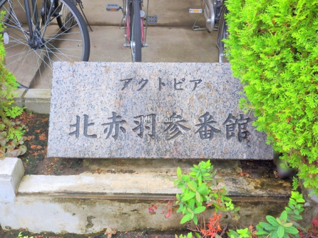 �G���g�����X�@-