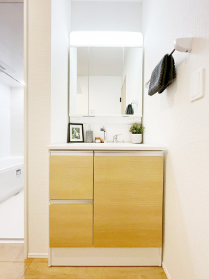 ���ʑ�E���ʏ��@���[�͂Ƌ@�\���ɗD�ꂽ���ʉ��ϑ�