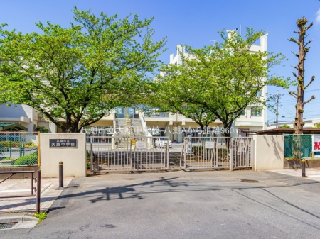 ���ӊ��@���w�Z 960m �����s���匴���w�Z