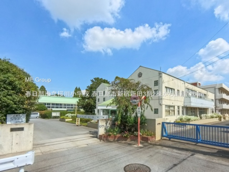 ���ӊ��@���w�Z 1200m �t�����s�����쏬�w�Z