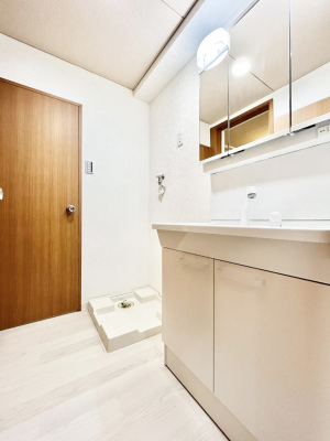 ���ʑ�E���ʏ��@�X�^�C�����O�ɕ֗��ȎO�ʋ��A�~���[�L���r�l�b�g�ōׂ������X�b�L��