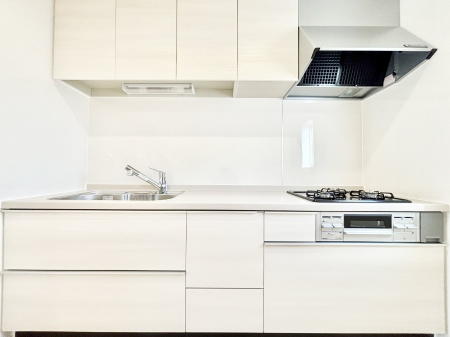 �L�b�`���@�������������I�ɁA�y�����I�V�X�e���L�b�`��