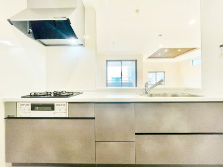 �L�b�`���@�V�X�e���L�b�`���̓V���v���ŃX�b�L�������O���̗��Ȃ��f�U�C���Ȃ̂ŉi���g�������I