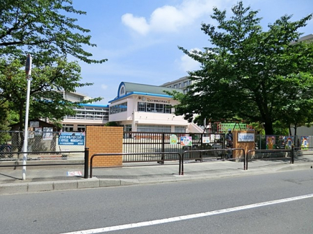 ���ӊ��@�c�t���E�ۈ牀 800m �s��s���V�l�c�t��