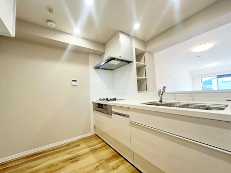 �L�b�`���@��Ƃ肠��L�b�`���X�y�[�X�ł�������H��̌�Еt�����X���[�Y�ɁI