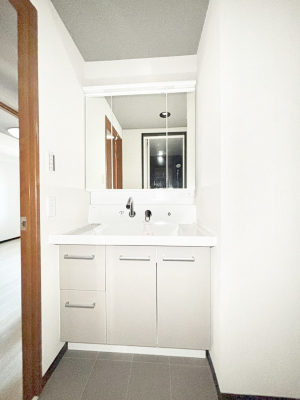 ���ʑ�E���ʏ��@�X�^�C�����O�ɕ֗��ȎO�ʋ��A�~���[�L���r�l�b�g�ōׂ������X�b�L��