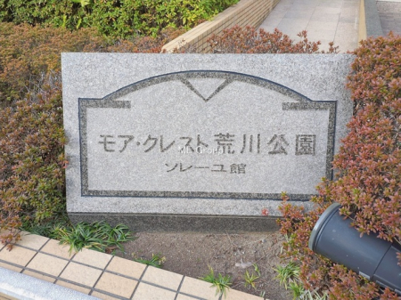 �G���g�����X�@-