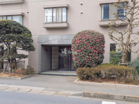 �G���g�����X�@-