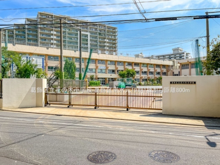 ���ӊ��@���w�Z 800m �����旧�Ԃ̖؏��w�Z