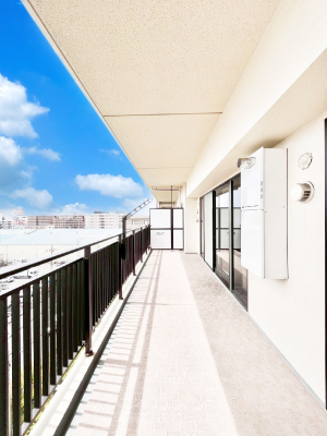 �o���R�j�[�@���ʂ��̗ǂ��o���R�j�[