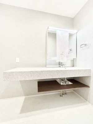 ���ʑ�E���ʏ��@���������ۂ��₷���������ꂽ�f�U�C���̃t���t���b�g�J�E���^�[���̗p�������ʉ��ϑ�