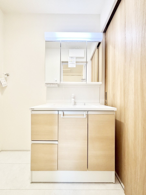 ���ʑ�E���ʏ��@���[�͂Ƌ@�\���ɗD�ꂽ���ʉ��ϑ�