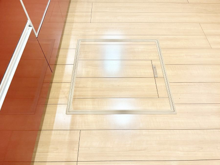 ���̑����ρ@�������[�t���I���p�i�E���p�i�̎��[�ɂ��劈��B