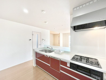 �L�b�`���@���r���O�ŗV�Ԃ��q�l�������Ȃ��炨�������ł���ΖʃL�b�`���B  