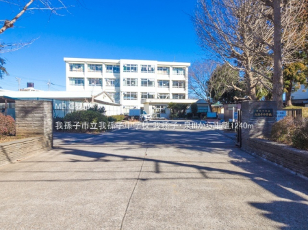 ���ӊ��@���w�Z 1240m �䑷�q�s���䑷�q���w�Z