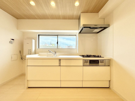 �L�b�`���@�������̂������ŉƑ��̏Ί炪�L����܂��I