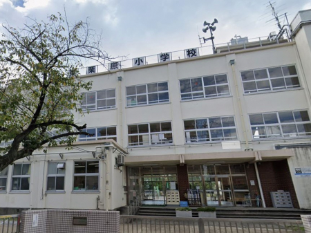 ���ӊ��@���w�Z 500m �����旧���I�����w�Z