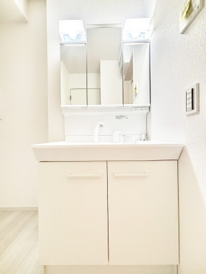 ���ʑ�E���ʏ��@���[�͂Ƌ@�\���ɗD�ꂽ���ʉ��ϑ�