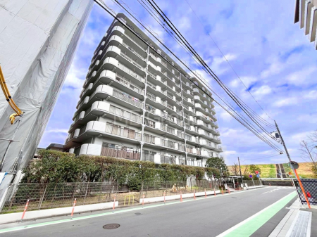 ���n�O�ώʐ^�@����z���ł��Ƒ��̏Ί���P�� 