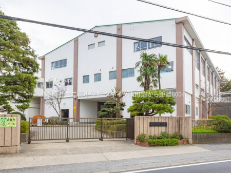 ���ӊ��@���w�Z 800m �D���s����{���w�Z