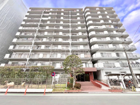 ���n�O�ώʐ^�@��Ƃ肪�Ί�𐶂ސS�n�悢���� 