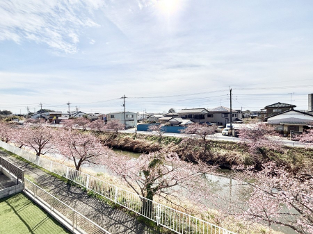 ���̑��@���Z�܂�����̒��]�ł��B