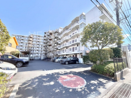 ���n�O�ώʐ^�@��Ƃ肪�Ί�𐶂ސS�n�悢����