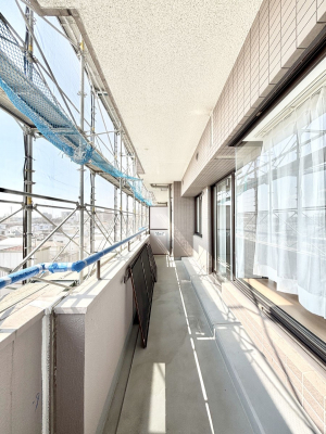 �o���R�j�[�@������̓�������̗ǂ��o���R�j�[  