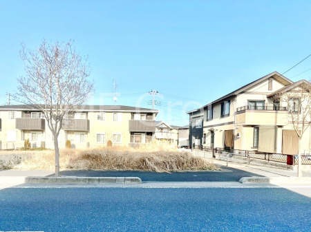 ���n�y�n�ʐ^�@��������n�܂�V�����������������܂�