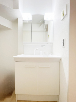 ���ʑ�E���ʏ��@���[�͂Ƌ@�\���ɗD�ꂽ���ʉ��ϑ�