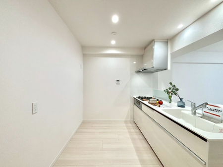 �L�b�`���@��Ƃ肠��L�b�`���X�y�[�X�ł�������H��̌�Еt�����X���[�Y�ɁI