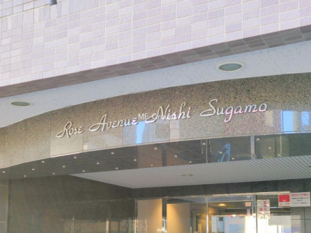 �G���g�����X�@-