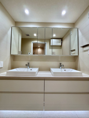 ���ʑ�E���ʏ��@���[�͂Ƌ@�\���ɗD�ꂽ���ʉ��ϑ�